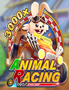 databet88 บา ค่า ร่า ทดลองเล่นเพื่อคลายความเครียด